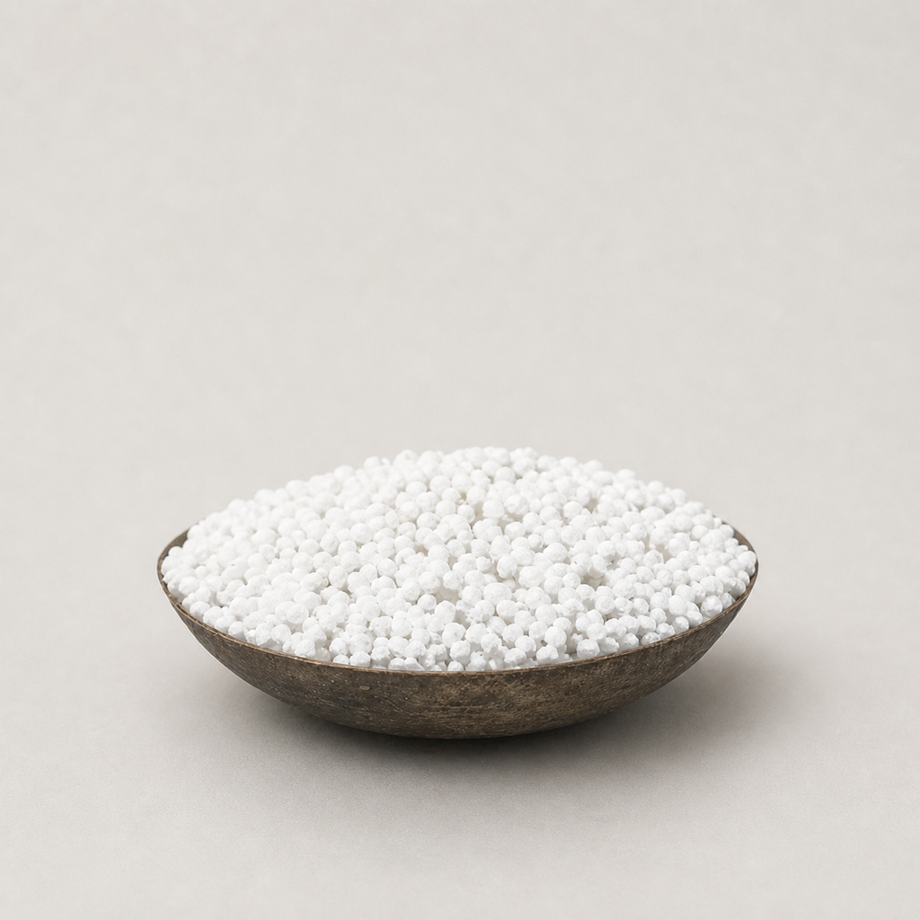 Sago Seeds Big
