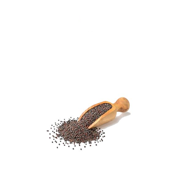 بذور الخردل صغيرة