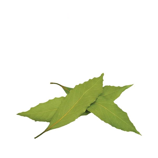 Bay Leaves