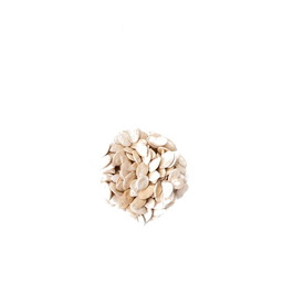 Watermelon Seeds