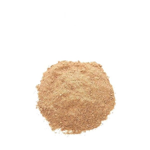 Dried Mango / Mango Fruit